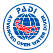 Padi