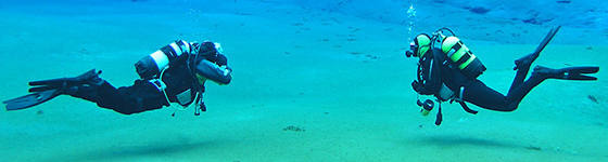 DIVEMASTER